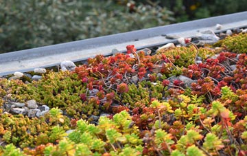 the cost of Sherbourne green roof installation