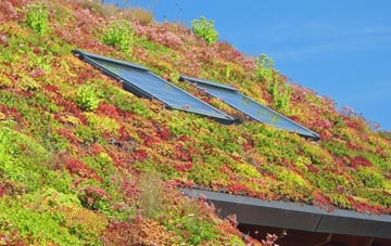 Sherbourne living roof systems