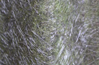 Sherbourne fibreglass roof work